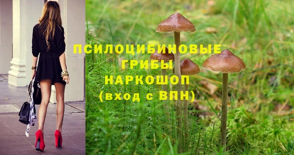 ПСИЛОЦИБИНОВЫЕ ГРИБЫ Армянск