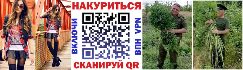 блэк спрут ссылки  продажа наркотиков  Оленегорск  Шишки марихуана сатива 